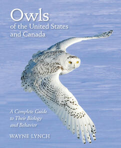 Owls of the United States and Canada